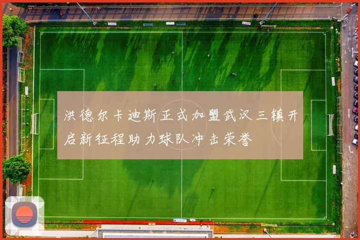 洪德尔卡迪斯正式加盟武汉三镇开启新征程助力球队冲击荣誉