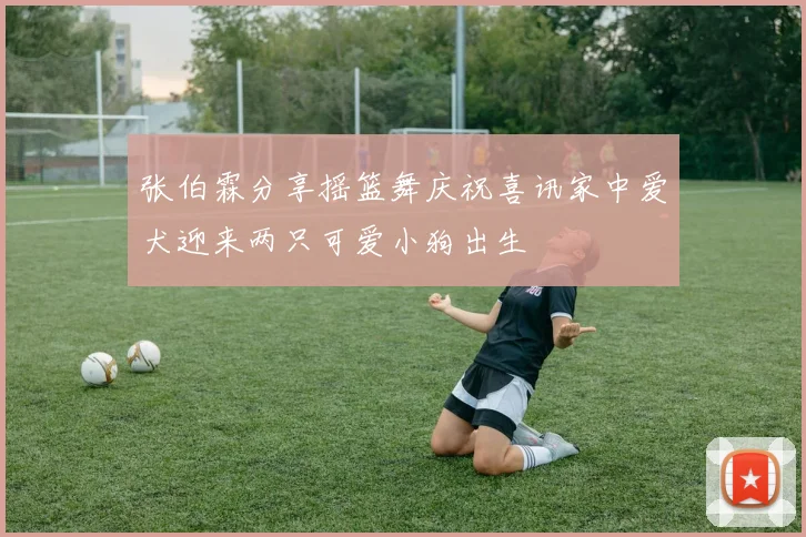 张伯霖分享摇篮舞庆祝喜讯家中爱犬迎来两只可爱小狗出生